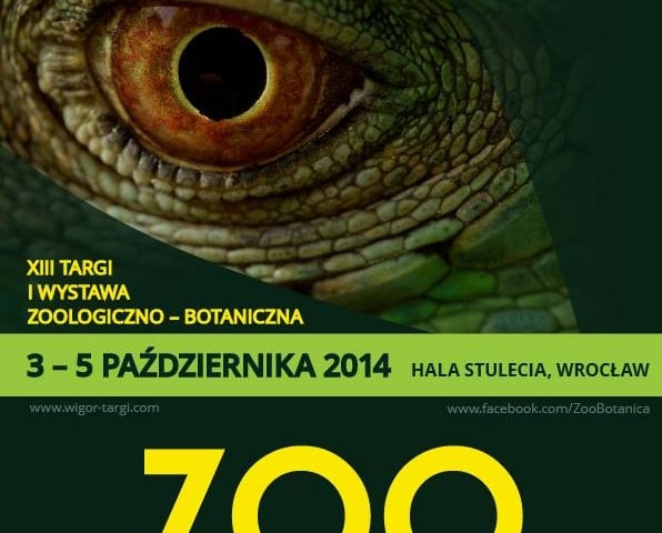 Zwierzaki w roli głównej