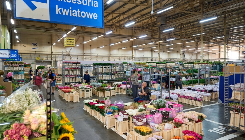 Hala wypełniona kwiatami, między pólkami przechadzają się klienci