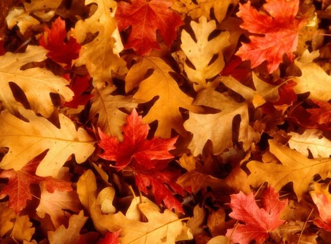 7 października: Pogodnie i ciepło