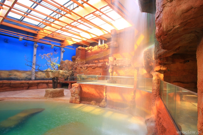 Testowanie Afrykarium Wrocław – co przyniosło?