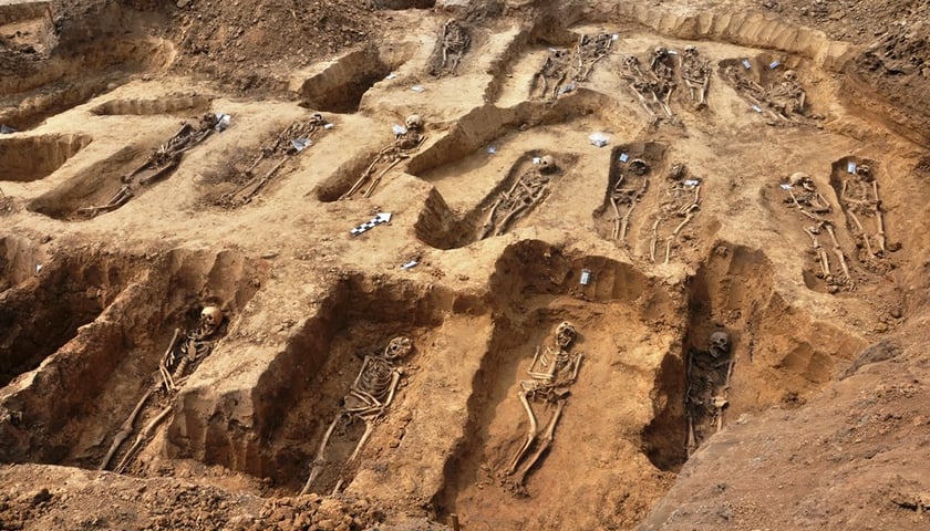 Do archeologa jak do sklepu… [WIDEO+ZDJĘCIA]