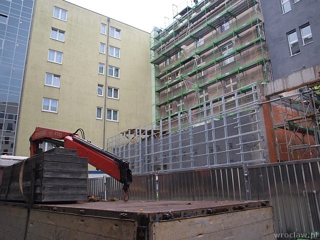 6,5 tys. roślin na zielonej ścianie w urzędzie [ZDJĘCIA]