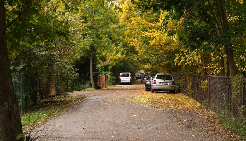 Widok na gruntową ul. Dzierżonia