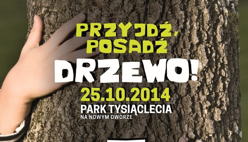 Dziś sadzenie dębów w Parku Tysiąclecia na Nowym Dworze