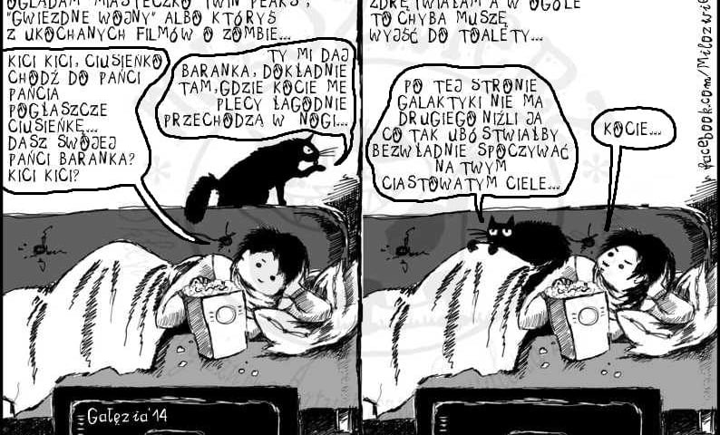 Wrocławianka tworzy komiks o kotach