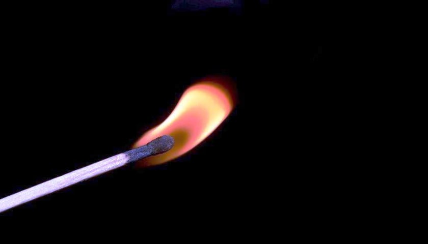 Nawet wśród psów trafiają się psy (a co dopiero wśród ludzi)!