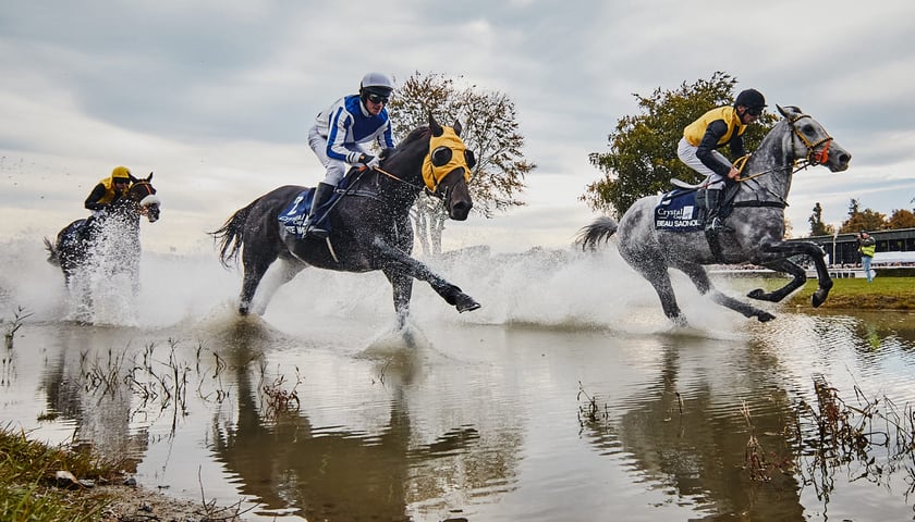 Wyścigi Crystal Cup na Partynicach, przeszkoda wodna. Zdjęcie archiwalne