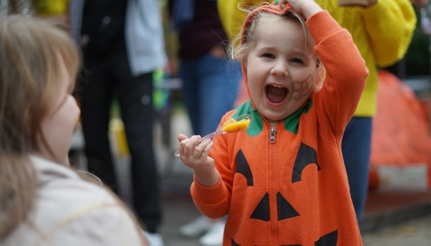 Zdjęcie ilustracyjne: Szczepińskie Święto Dyni w 2023 roku