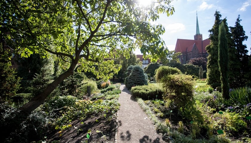 Zamykają Ogród Botaniczny