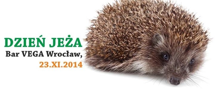 Wrocławski Dzień Jeża