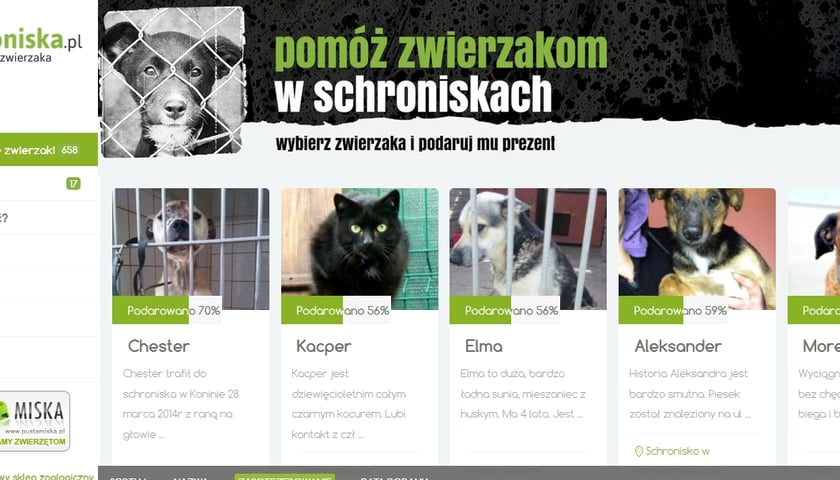 Zrób prezent dla czworonoga