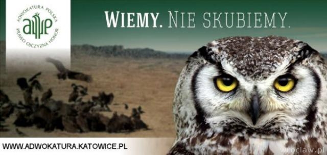 Chamlety 2014 - wyróżnią najgorsze reklamy