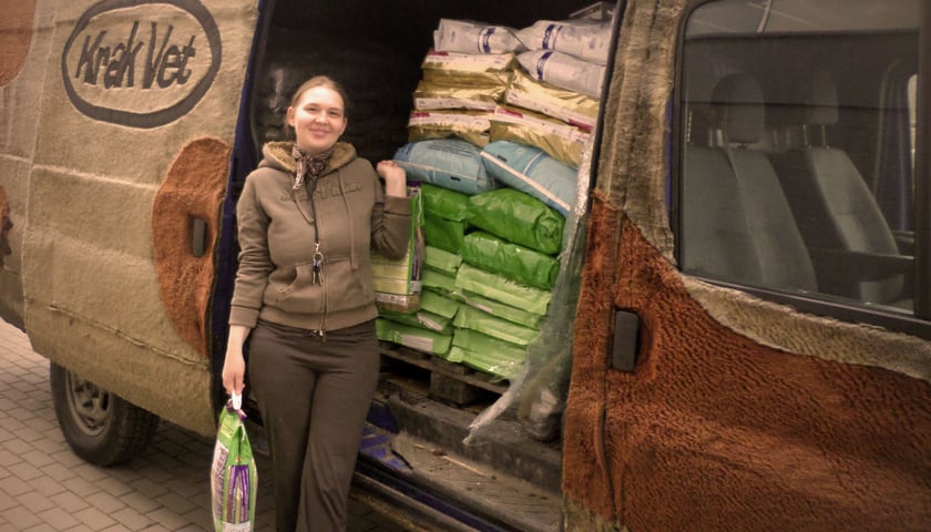 Wsparcie dla bezdomnych kotów