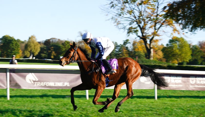 11. dzień wyścigowy: Crystal Cup i Święto Województwa Dolnośląskiego na Wrocławskim Torze Wyścigów Konnych Partynice