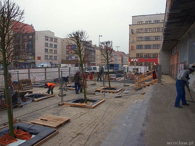 Sadzą drzewa przed barem Barbara [ZDJĘCIA]