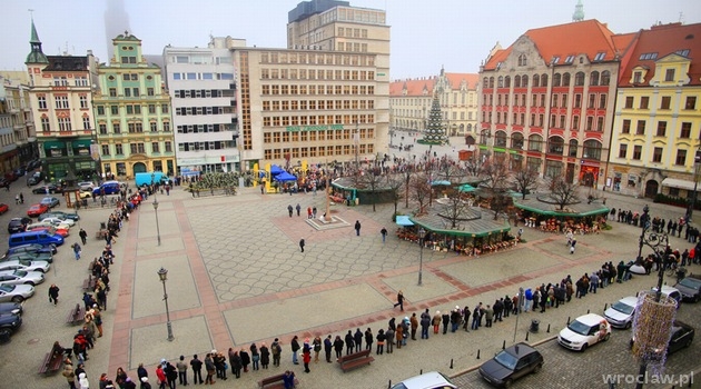 Zobacz, jaką wybrać choinkę
