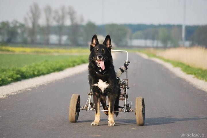 Kraksa to nie katastrofa