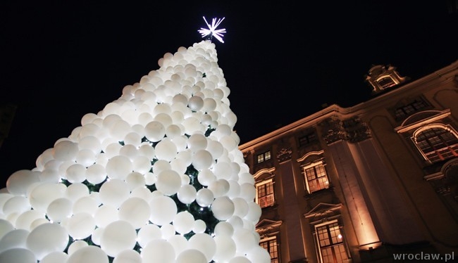 Tak wyglądają choinki bożonarodzeniowe we Wrocławiu [ZDJĘCIA]