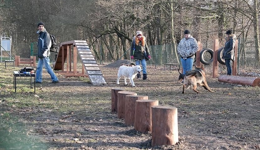 Kolejny plac zabaw dla psów we Wrocławiu [ZDJĘCIA]