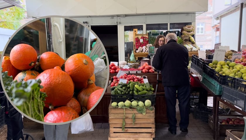 W tle: ludzie kupujący na Targu Ptasia we Wrocławiu. W kółku: dynie