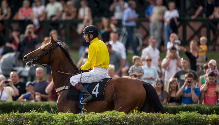 Zaprojektuj logo Toru Wyścigów Konnych [KONKURS]