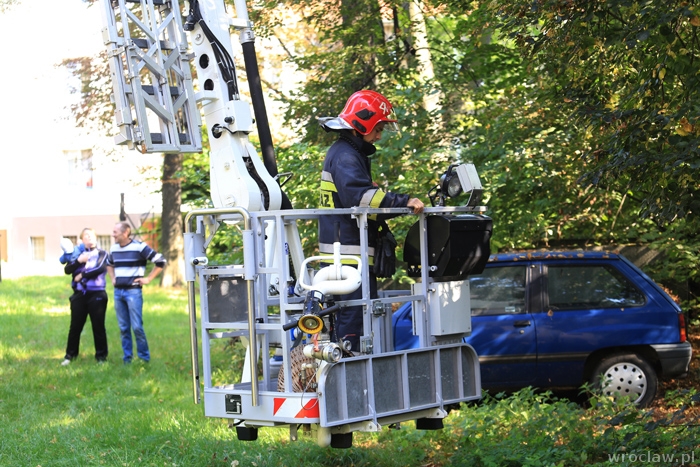 To była pracowita noc dla strażaków