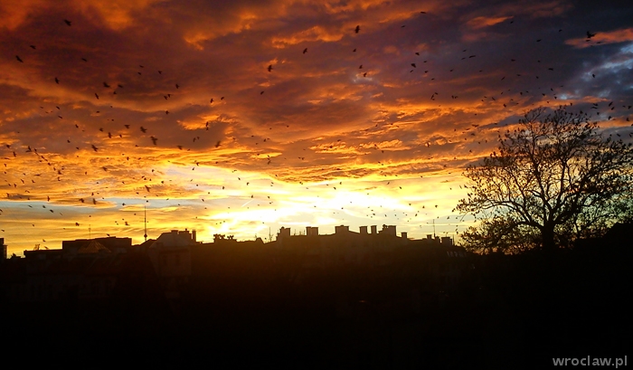 Poznaj mroczną stronę Wrocławia, cz. I