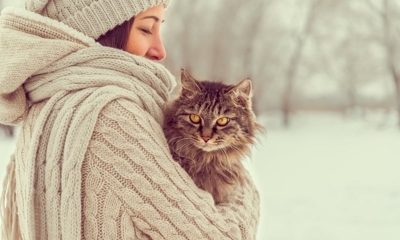 Rusza akcja „Miasta dla zwierząt” [VIDEO]