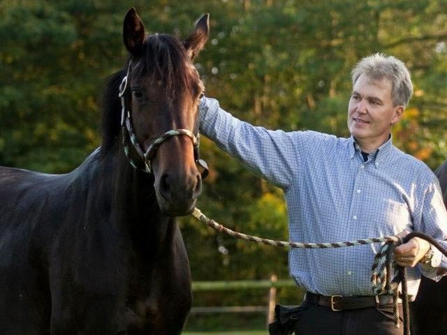 Zaklinacz koni we Wrocławiu