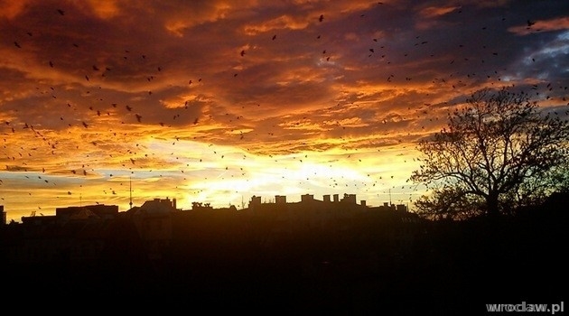 Poznaj mroczną stronę Wrocławia, cz. II