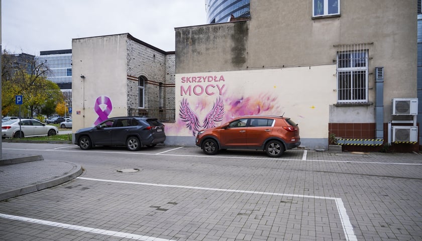 Różowe skrzydła z napisem SKRZYDŁA MOCY namalowane na ścianie szpitala na Hirszfelda