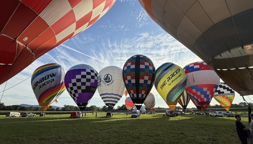 Kilkanaście balonów przygotowujących się do startu