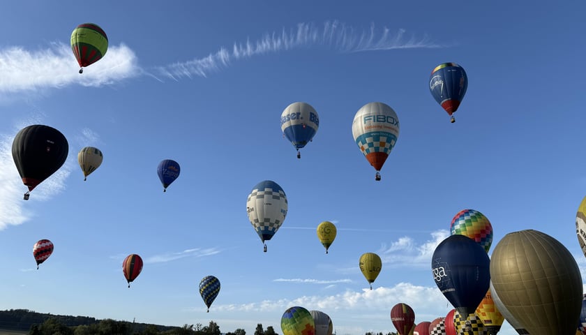 Kolorowe balony wzbijają się w powietrze podczas jednego z pokazów. Taki widok zobaczymy na niebie nad Wrocławiem od 9 do 11 listopada.