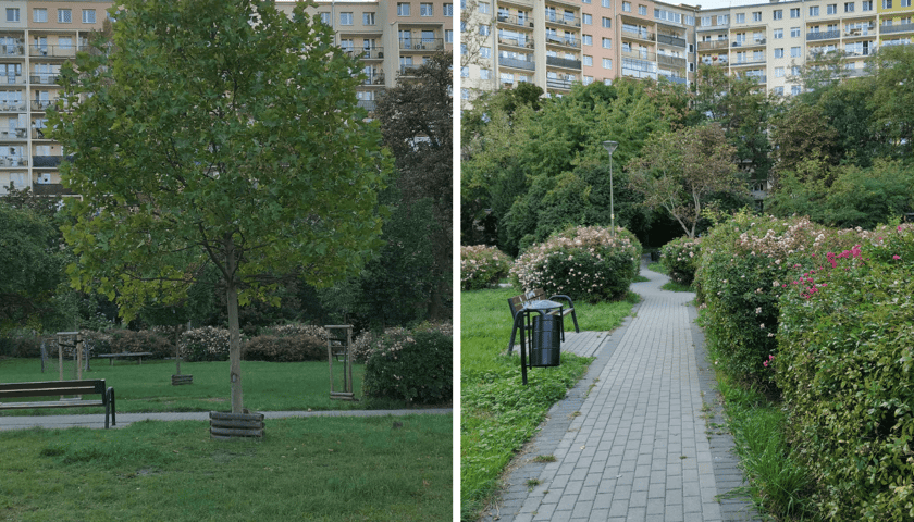 Zielone podwórko przy Krynickiej