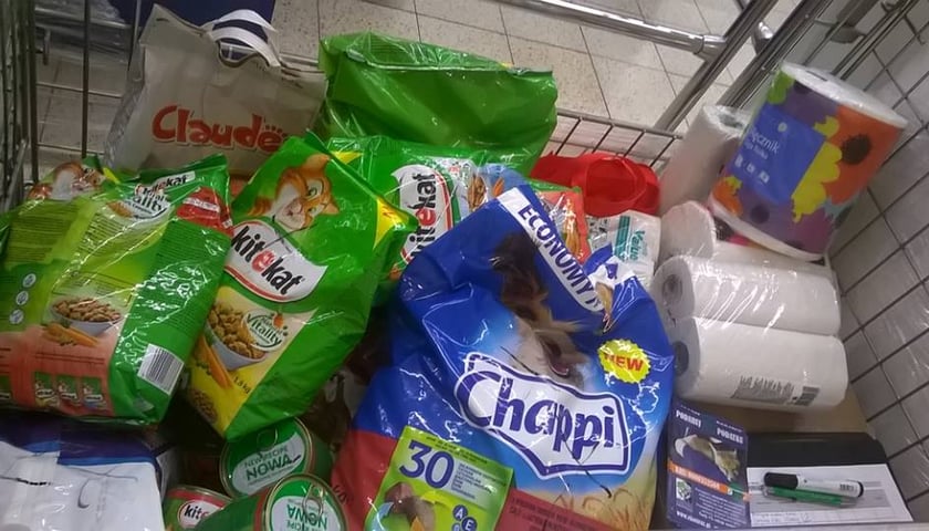 Na pomoc zwierzętom na Ukrainie