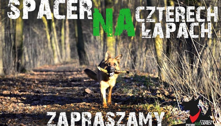 Sobotni spacer... pod psem [ZDJĘCIA]