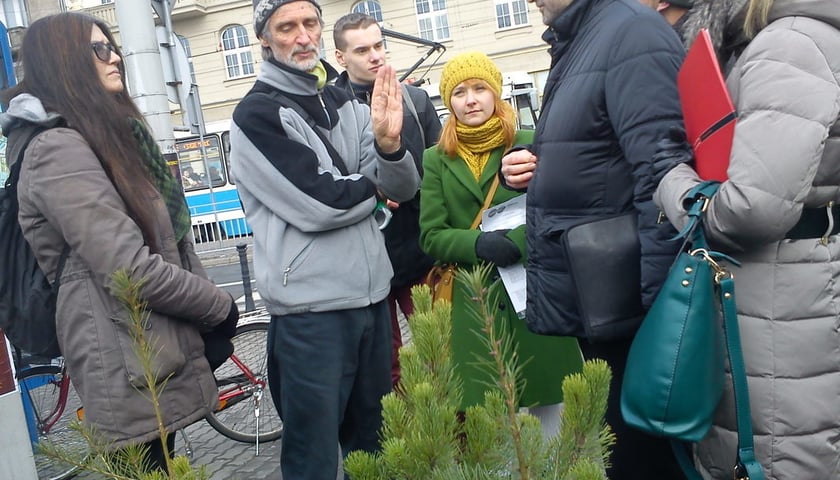 Ekolodzy i urzędnicy o nasadzeniach drzew we Wrocławiu