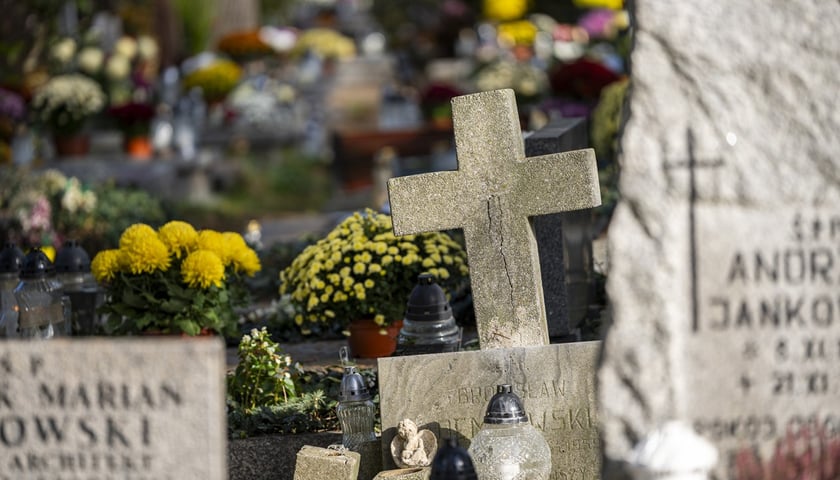 Nagrobki na cmentarzu na Sępolnie (zdjęcie ilustracyjne)