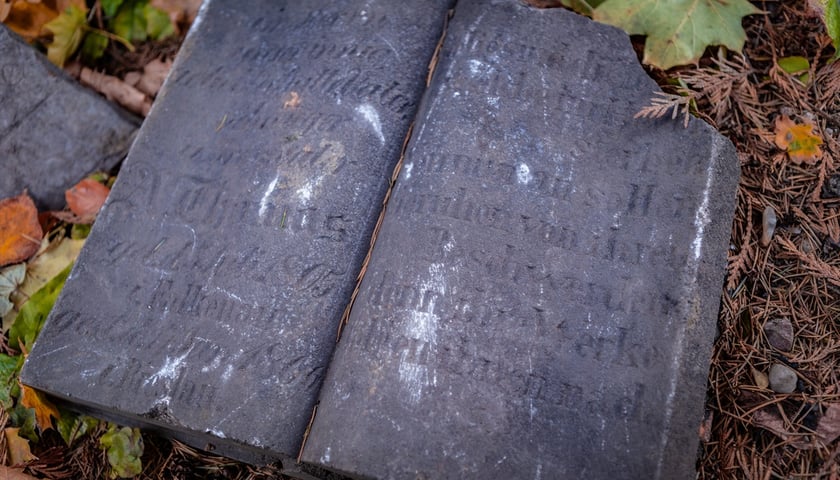 W Ogrodzie Botaniczym odznaleziono na pozostałości dawnego cmentarza