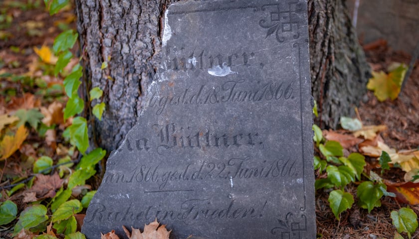 W Ogrodzie Botanicznym odnaleziono pozostałości dawnego cmentarza