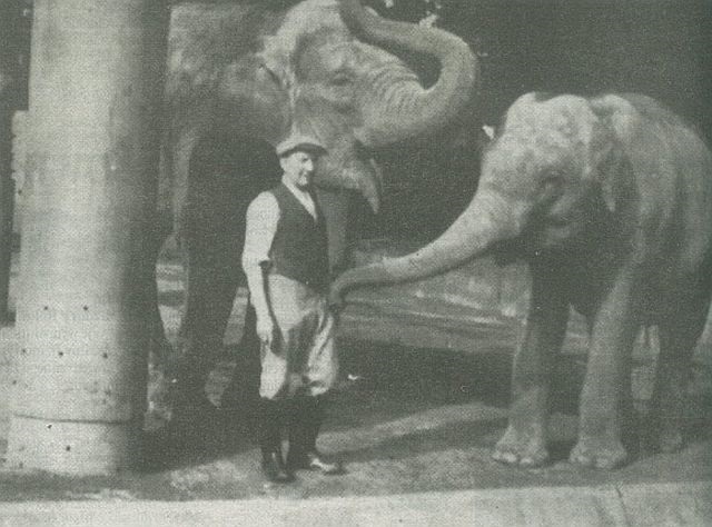 Akta W: Rozstrzelany zwierzyniec