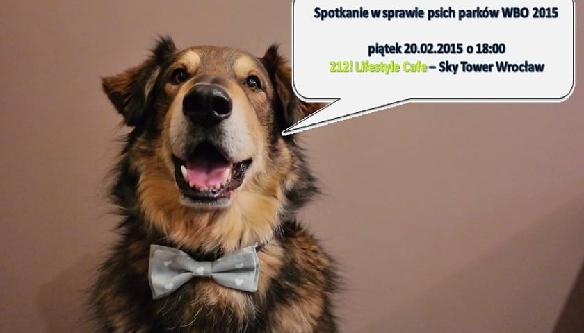 Spotkanie w sprawie psich parków