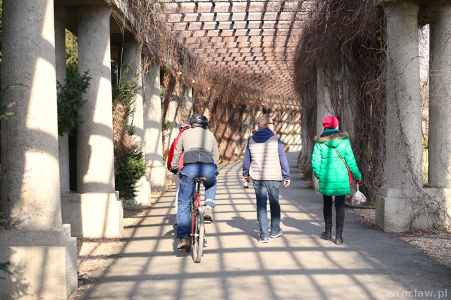 Wczesna wiosna we Wrocławiu