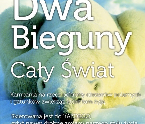 Zoo - w trosce o bieguny polarne