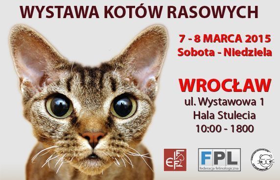 Zaproszenia na Wystawę Kotów Rasowych [KONKURS FOTO]