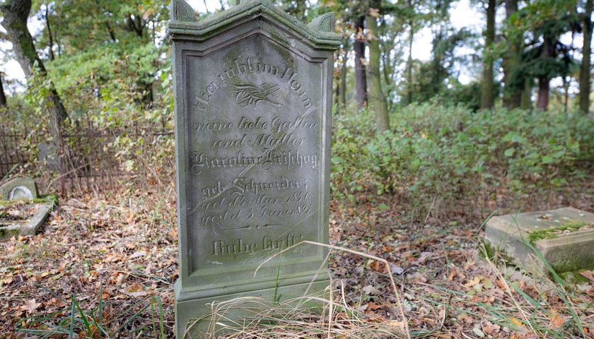 Cmentarz ewangelicki w Grabownicy - w środku pola, w niewielkim zagajniku