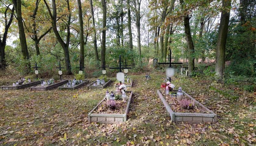 Cmentarz ewangelicki w Grabownicy - w środku pola, w niewielkim zagajniku