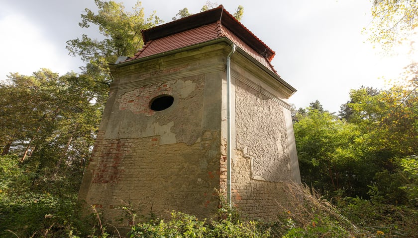 Mauzoleum Hochberg&oacute;w w Wąbnicach - budynek w środku lasu