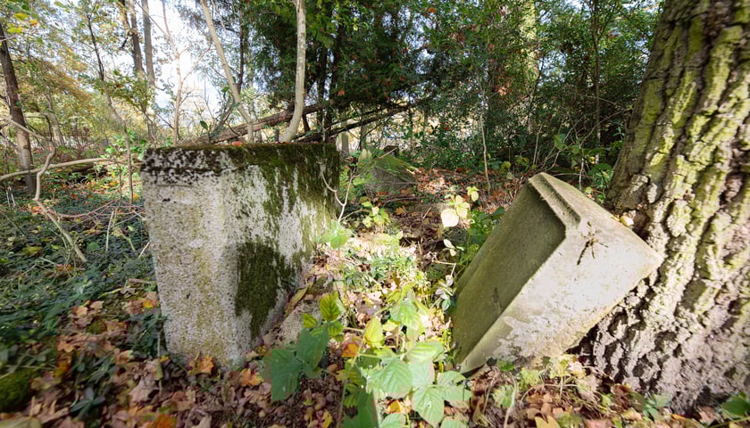 Cmentarz ewangelicki w Grabownicy - w środku pola, w niewielkim zagajniku