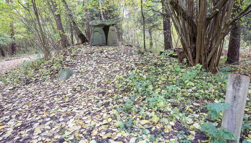Gr&oacute;b myśliwego na czerwonym szlaku rowerowym w Krośnicach